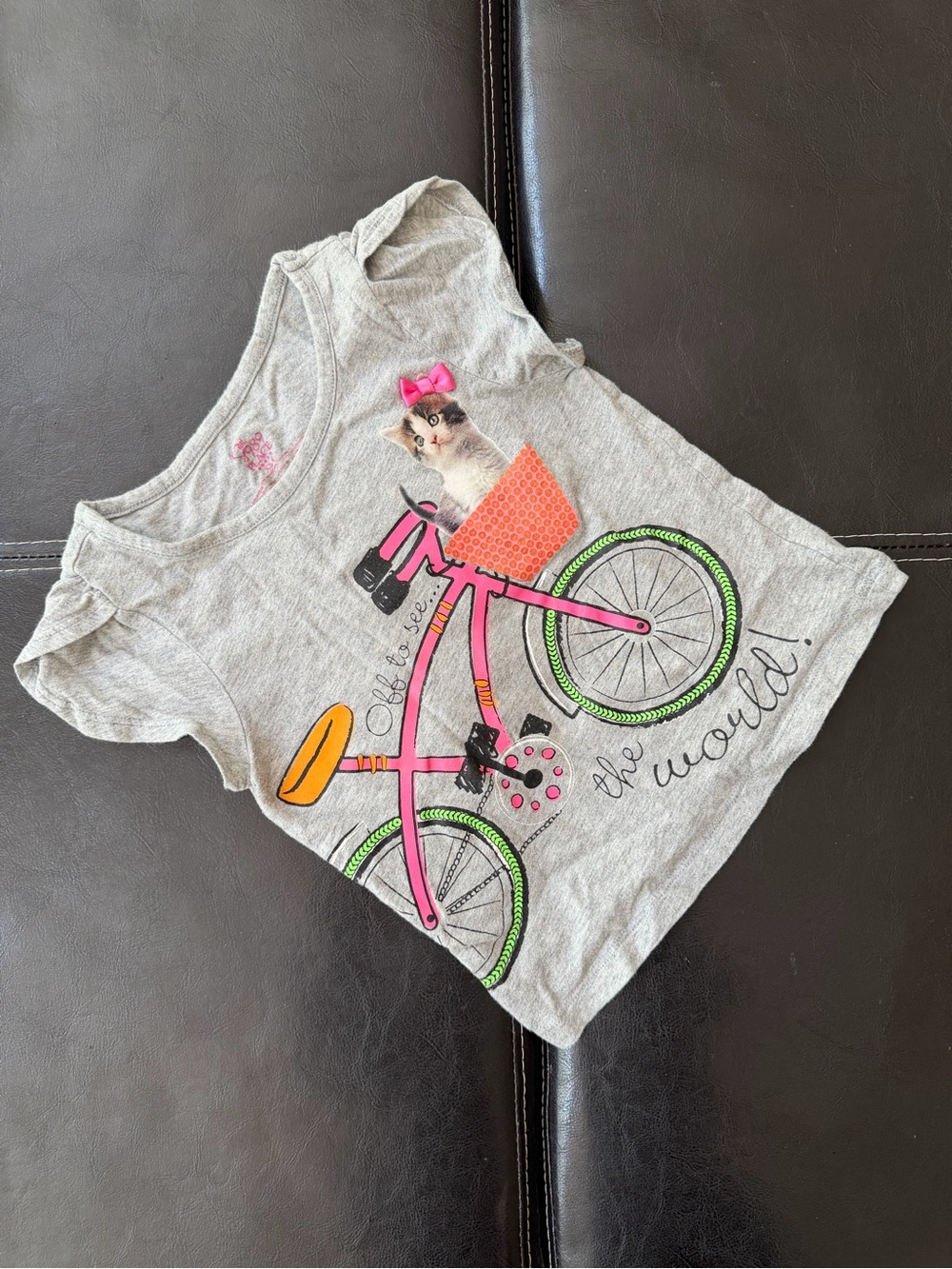 1989 Place - Gray “Off to See the World” - Cat on a Bike Tee